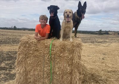 Natalie Carey Dog Training - Having fun