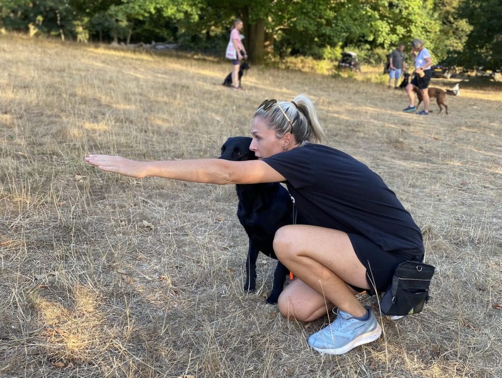 Natalie Carey Dog Training Services - Focus