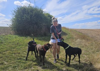 Natalie Carey Dog Training - Good boy