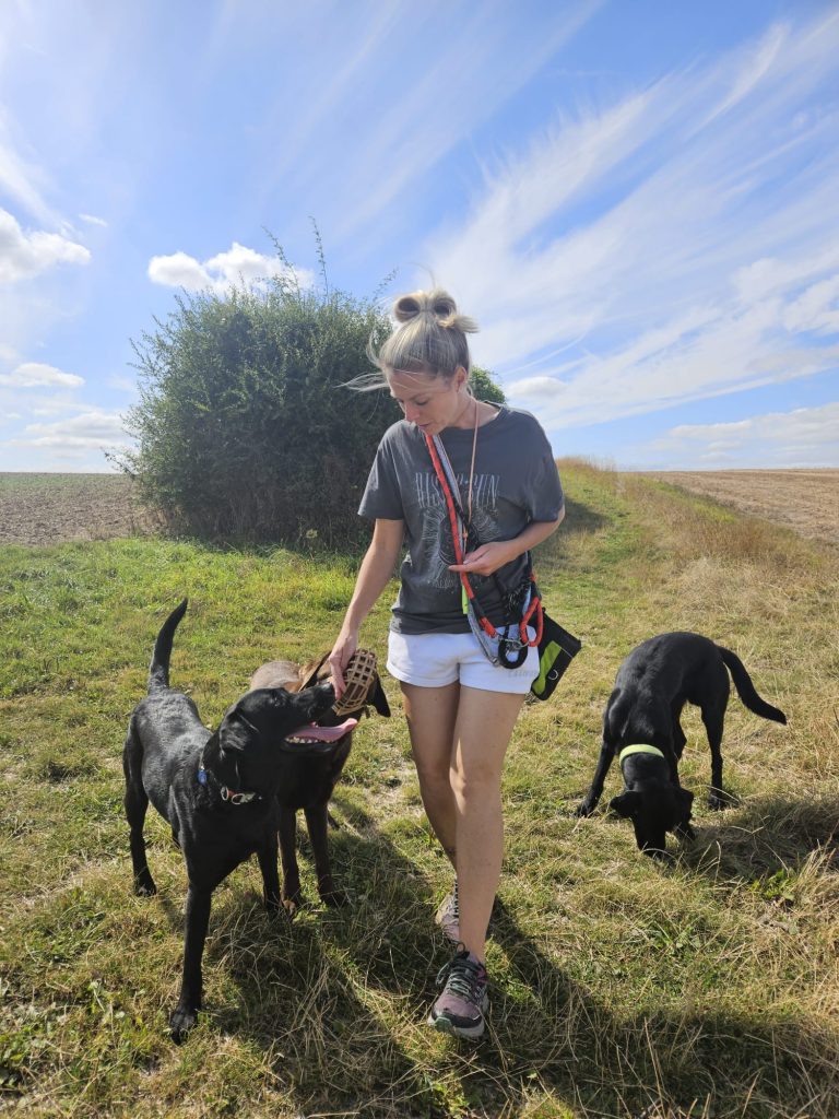 Natalie Carey Dog Training - Good boy