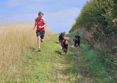 Natalie Carey Dog Training - Having fun