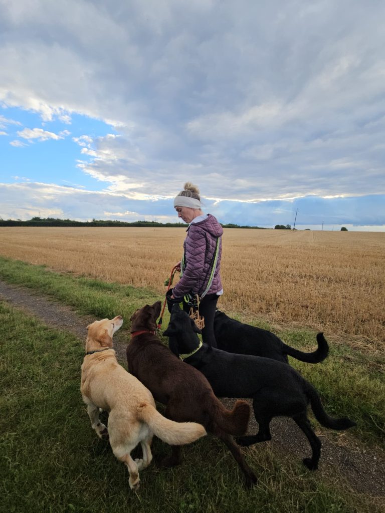 Natalie Carey Dog Training Services