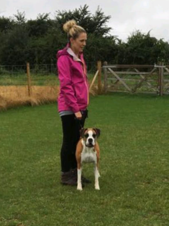 Natalie Carey Dog Training - Roxxi