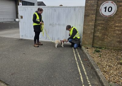 Natalie Carey Dog Training – Mantrailing Classes
