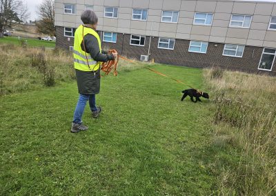 Natalie Carey Dog Training – Mantrailing Classes