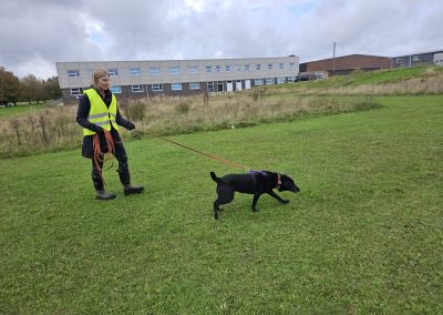 Natalie Carey Dog Training – Mantrailing Classes