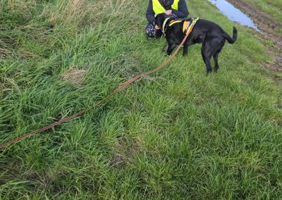 Natalie Carey Dog Training – Mantrailing Classes