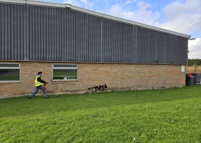 Natalie Carey Dog Training – Mantrailing Classes