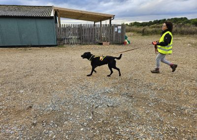 Natalie Carey Dog Training – Mantrailing Classes