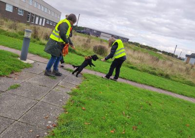 Natalie Carey Dog Training – Mantrailing Classes