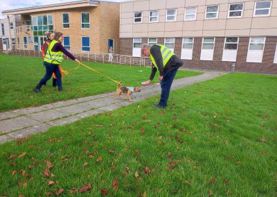 Natalie Carey Dog Training – Mantrailing Classes