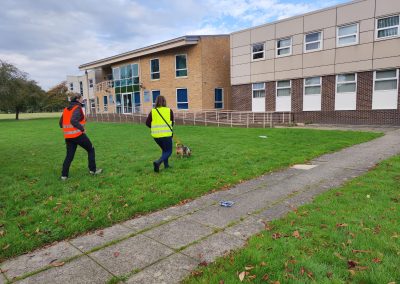Natalie Carey Dog Training – Mantrailing Classes