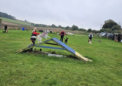 Natalie Carey Dog Training Classes