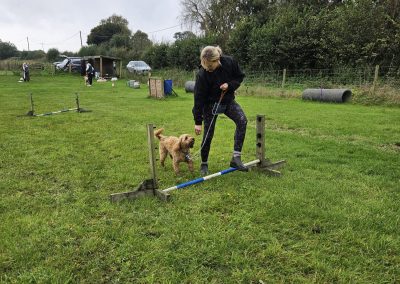 Natalie Carey Dog Training Classes