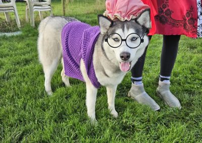 Natalie Carey Dog Training Classes - Halloween