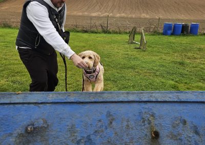 Natalie Carey Dog Training Classes