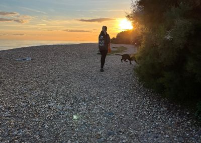 Natalie Carey Dog Training – Mantrailing Classes