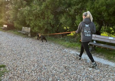 Natalie Carey Dog Training – Mantrailing Classes