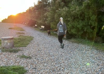 Natalie Carey Dog Training – Mantrailing Classes