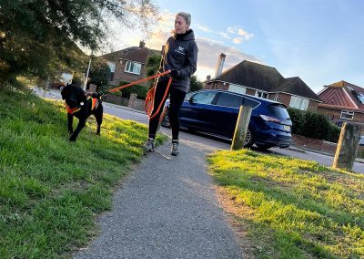 Natalie Carey Dog Training – Mantrailing Classes