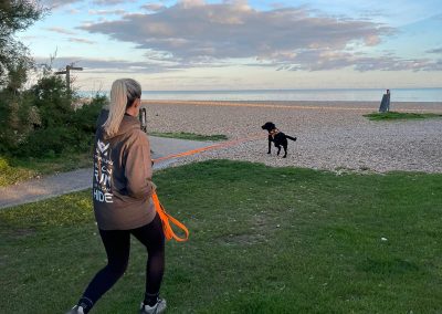 Natalie Carey Dog Training – Mantrailing Classes