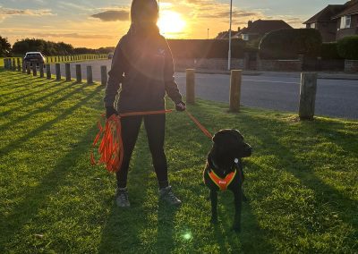 Natalie Carey Dog Training – Mantrailing Classes