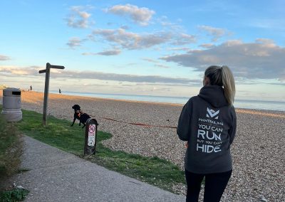 Natalie Carey Dog Training – Mantrailing Classes