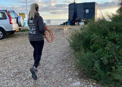 Natalie Carey Dog Training – Mantrailing Classes