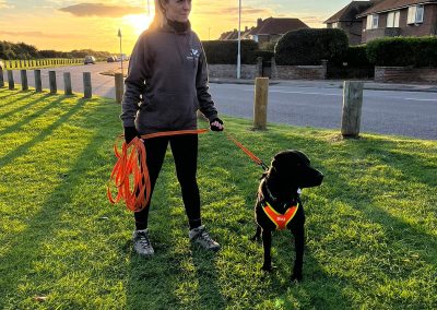Natalie Carey Dog Training – Mantrailing Classes