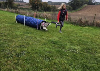 Natalie Carey Dog Training Classes