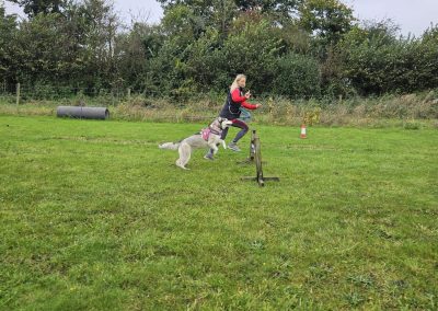 Natalie Carey Dog Training Classes