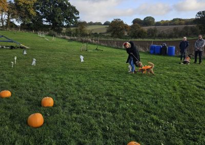 Natalie Carey Dog Training Classes - Halloween