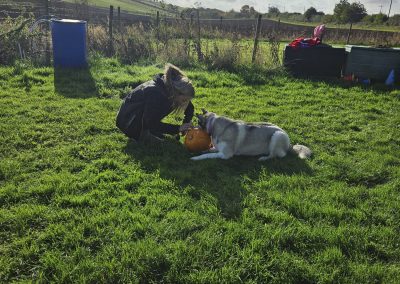 Natalie Carey Dog Training Classes - Halloween