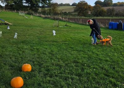 Natalie Carey Dog Training Classes - Halloween