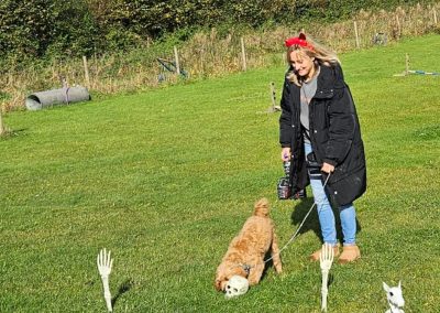 Natalie Carey Dog Training Classes