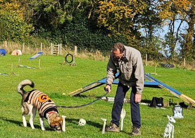 Natalie Carey Dog Training Classes