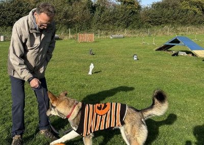 Natalie Carey Dog Training Classes