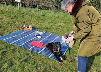 Natalie Carey Dog Training Classes