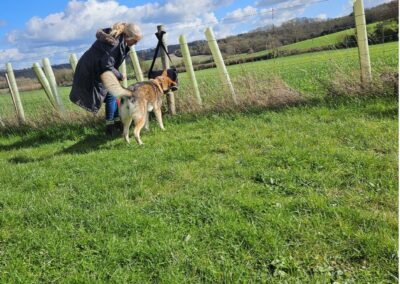 Natalie Carey Dog Training Scent Work
