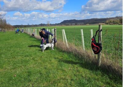 Natalie Carey Dog Training Scent Work