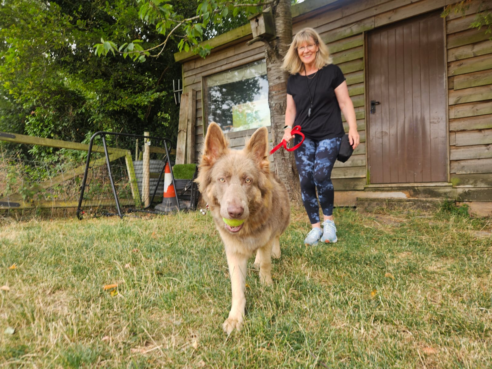 Natalie Carey Dog Training Classes